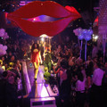 dsc02318_5485388415_o.jpg
