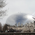 dsc02496_5658999621_o.jpg