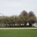 dsc02565_5659624764_o.jpg