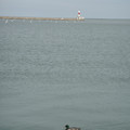 dsc02579_5659062849_o.jpg