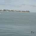 dsc02580_5659636404_o.jpg