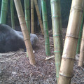 img_20110523_150810_5783269215_o.jpg