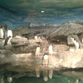img_20110523_155353_5783269897_o.jpg