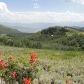 dsc03182_6083936899_o.jpg
