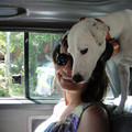 dsc03258_6151298478_o.jpg