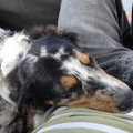 dsc03279_6151323546_o.jpg