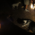 dsc03331_6150823163_o.jpg