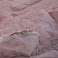 dsc03354_6151376476_o.jpg