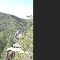 dsc03365_6151380180_o.jpg