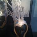 img_20110826_120226jpg_6083834855_o.jpg