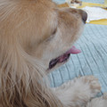 dsc03446_6276485906_o.jpg