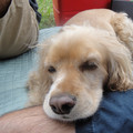 dsc03450_6275964149_o.jpg