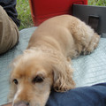 dsc03451_6275964655_o.jpg