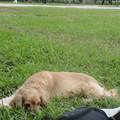 dsc03470_6276492378_o.jpg