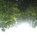 dsc03478_6276494012_o.jpg