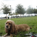 dsc03488_6276496788_o.jpg
