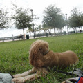 dsc03489_6275974561_o.jpg