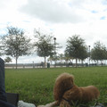 dsc03491_6276498474_o.jpg
