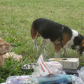 dsc03522_6276505316_o.jpg