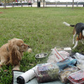 dsc03523_6276505832_o.jpg