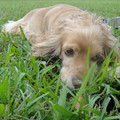 dsc03524_6276506342_o.jpg