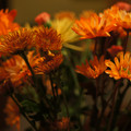dsc00694jpg_6373573599_o.jpg