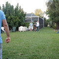 dsc01151jpg_6402171323_o.jpg