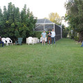 dsc01152jpg_6402173079_o.jpg