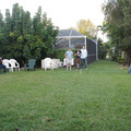 dsc01153jpg_6402174975_o.jpg