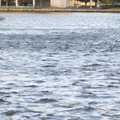 dsc01916_6462756793_o.jpg