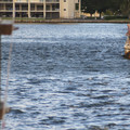 dsc01917_6462757823_o.jpg