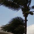 dsc01919_6462758927_o.jpg