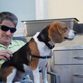 dsc01936_6462763229_o.jpg