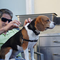 dsc01937_6462764063_o.jpg