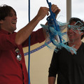 dsc01957_6463048833_o.jpg
