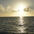 dsc02065_6471864159_o.jpg