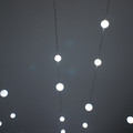 dsc02259_6534301311_o.jpg