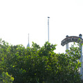_dsc7049jpg_6850961030_o.jpg