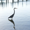 _dsc7064jpg_6997102333_o.jpg