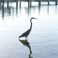 _dsc7065jpg_6850978746_o.jpg