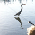 _dsc7066jpg_6997104757_o.jpg