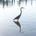_dsc7067jpg_6997105909_o.jpg