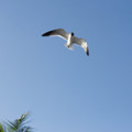 _dsc7087jpg_6997128201_o.jpg