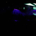 _dsc7684jpg_7042178355_o.jpg