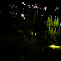 _dsc7764jpg_6896171908_o.jpg