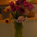 _dsc8731_7088225027_o.jpg