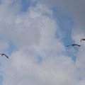 dsc03841jpg_7142113439_o.jpg