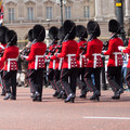 dsc03876jpg_6996075074_o.jpg