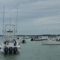dsc05644jpg_7257812574_o.jpg