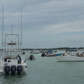 dsc05645jpg_7257813790_o.jpg